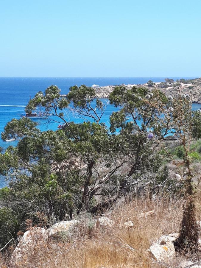 Marias Villa Protaras Exterior photo
